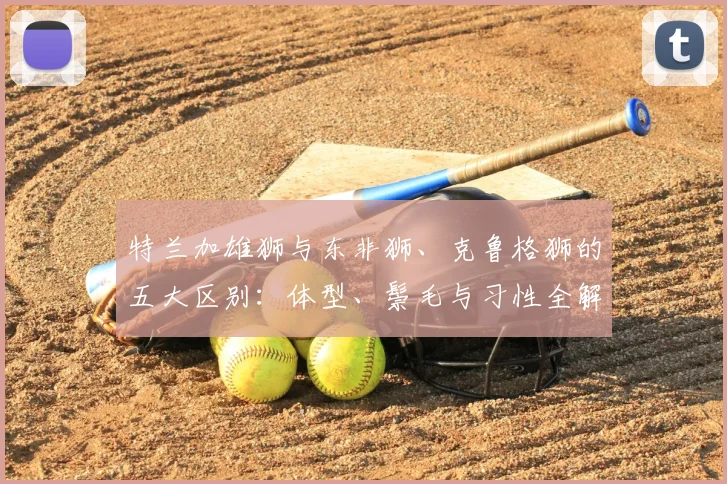 特兰加雄狮与东非狮、克鲁格狮的五大区别:体型、鬃毛与习性全解析